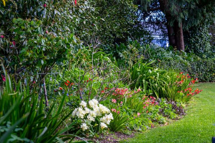 99 Herbert Street Masterton_16