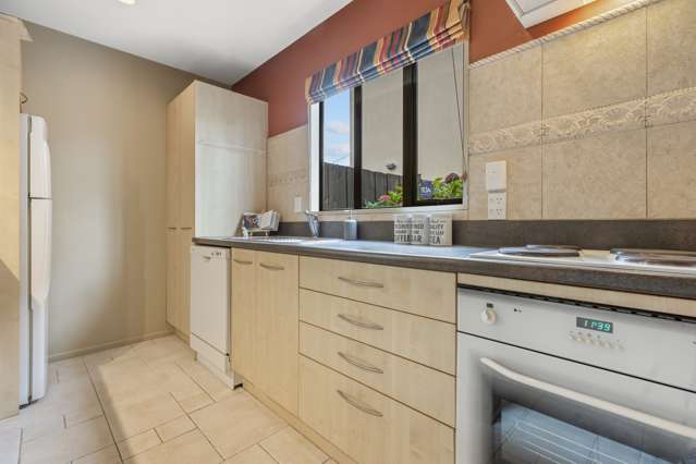 9 Antrim Street Sydenham_3