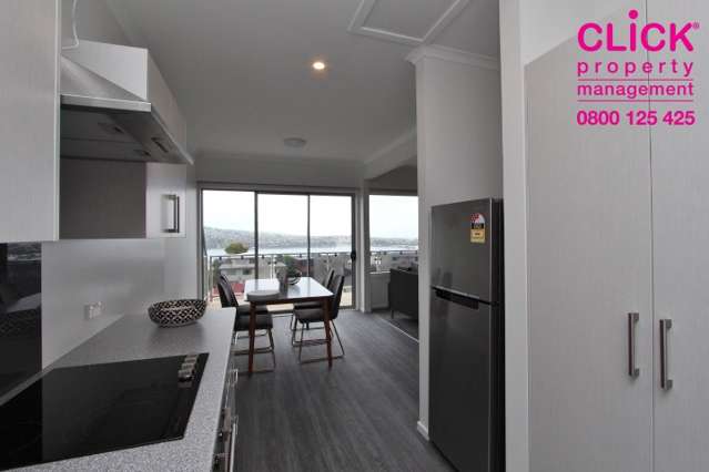 Recently Renovated, Double glazed, Fully Furnished Apartment with Stellar Views