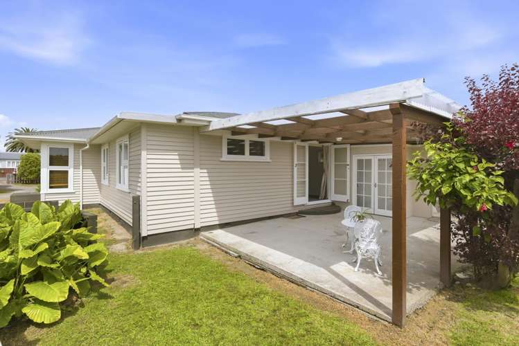 21 Lemon Street Otaki_25