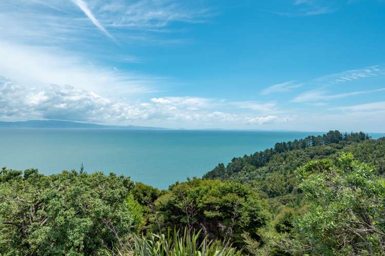 13 Pohue Creek Road Thames_18