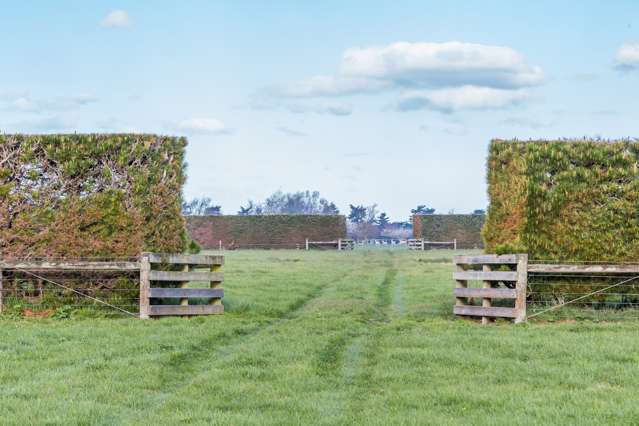 51 Isaac Road West Eyreton_2