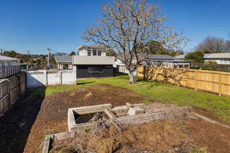 56 Eastdale Road Avondale_22