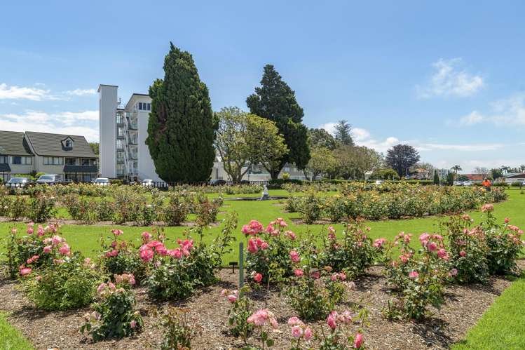 11/22 Cliff Road Tauranga Central_26