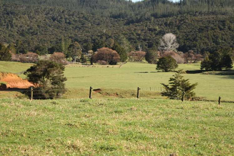 140 Kenana Road Mangonui Surrounds_33