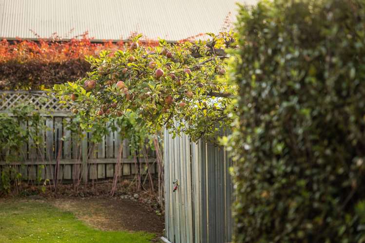 24 Thomson Street Arrowtown_27