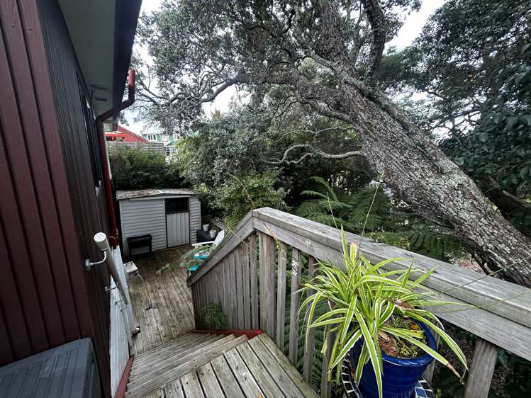 3-20 Reid Road New Lynn_19