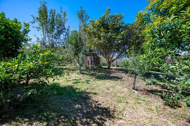 37 Kaska Road Hamurana_32