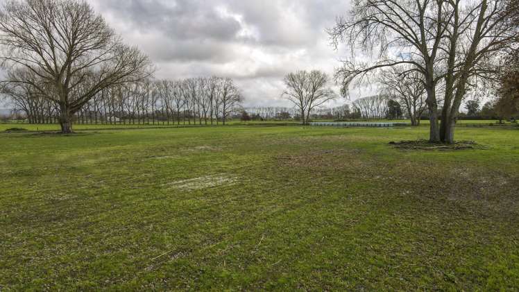 6552 Wilson Road Paeroa_7