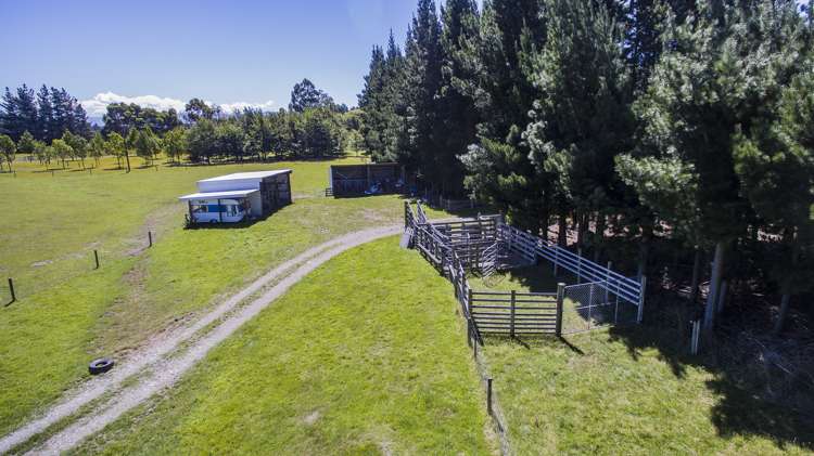 75 Loburn Terrace Road Loburn_16