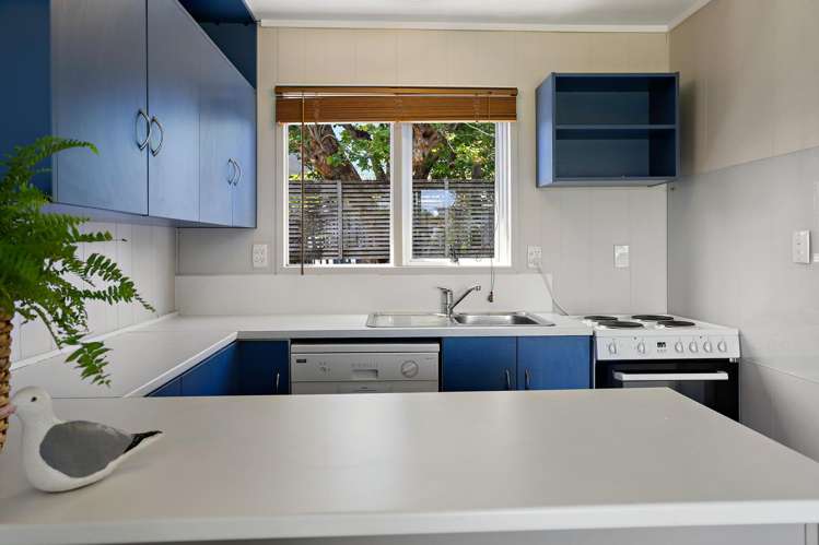 1 Poplar Street Whitianga_25