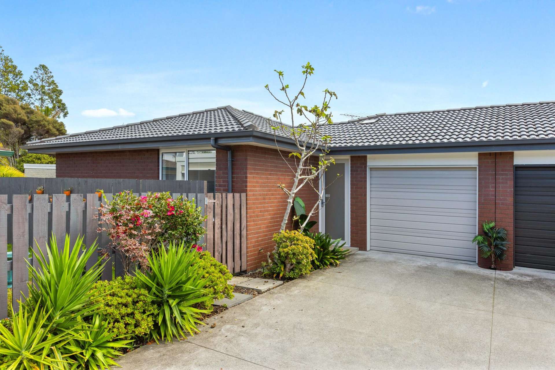30d Elizabeth Street Orewa_0