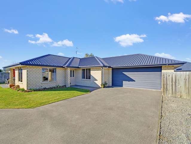 17A Bowen Street Rakaia