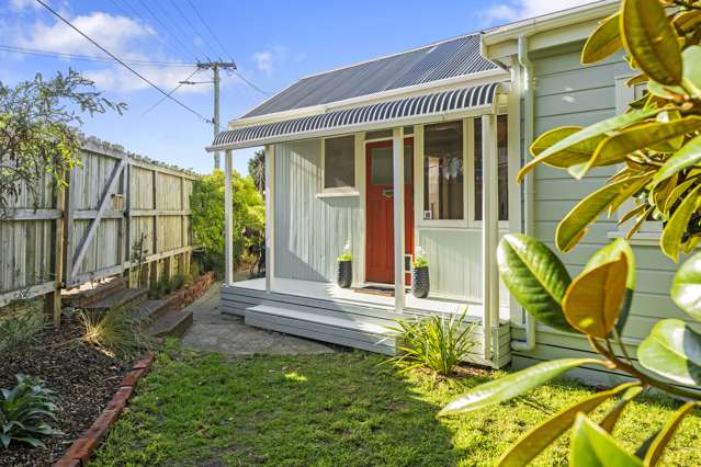 37 Rua Street Lyall Bay_1