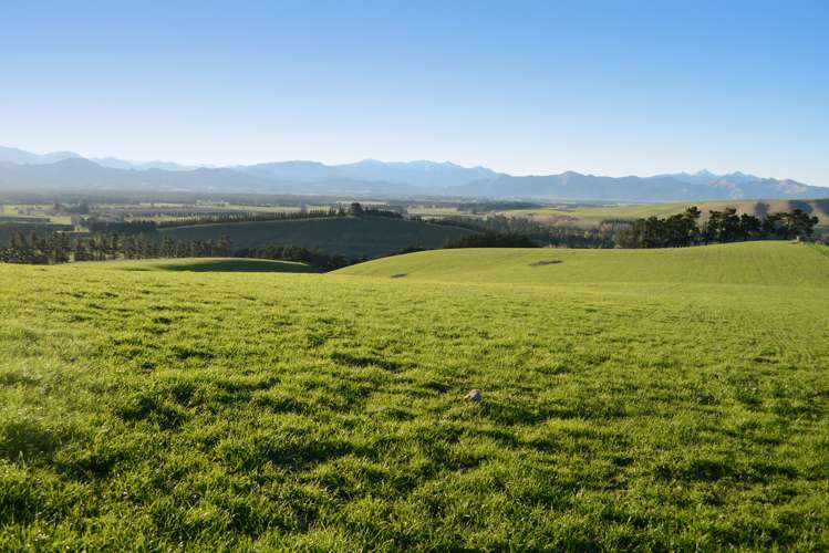 207 Christians Road Hawarden_3