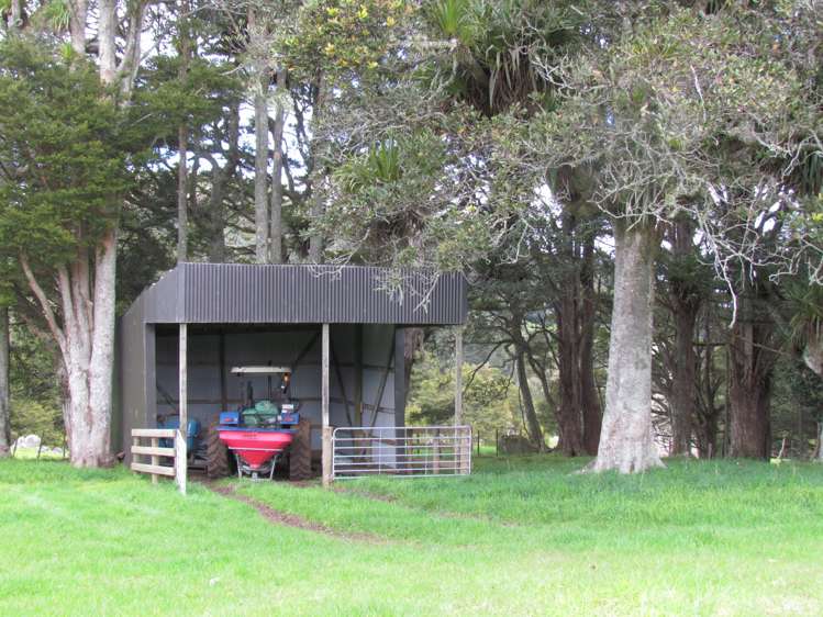 Tremain Road Ruatangata West_6