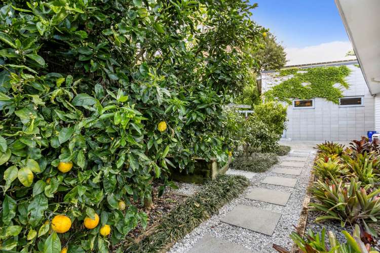 49a Landscape Road Mount Eden_17