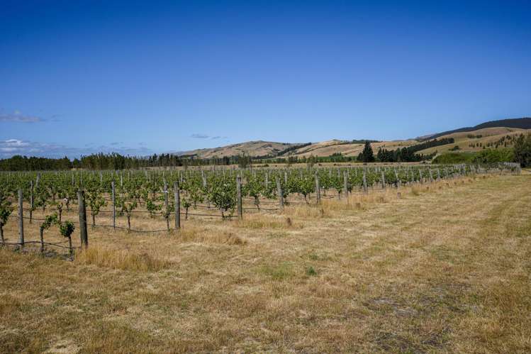 220 Omihi Road Waipara_6