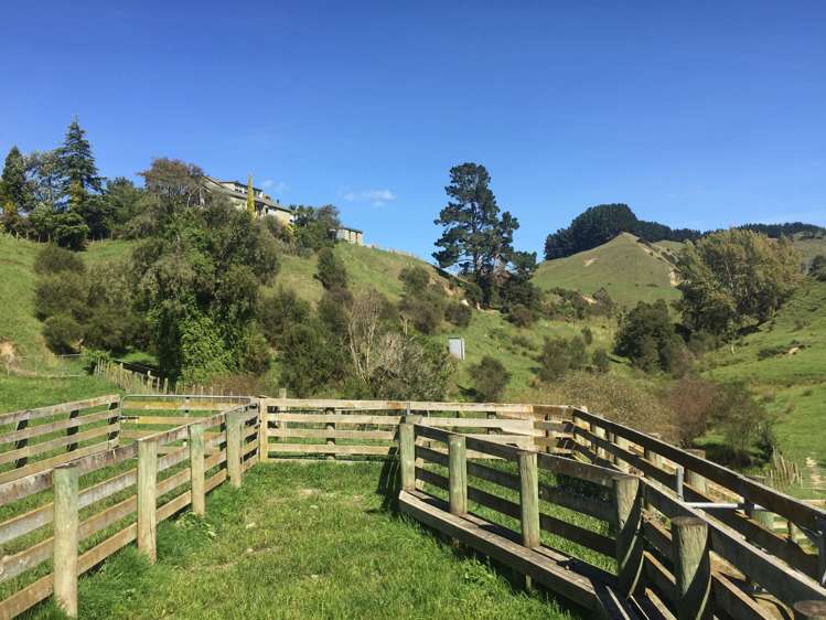 547 Papaiti Road Papaiti_11