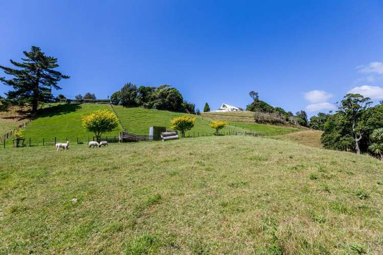 25 Pararewa Drive Whalers Gate_26