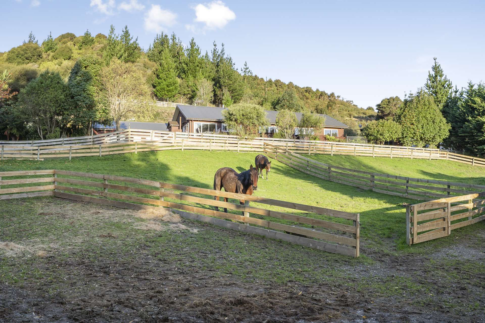 34 Pencarrow Crescent Wainuiomata_0