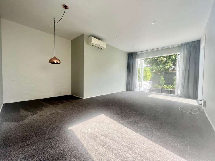 59 Albany Road Ponsonby_9