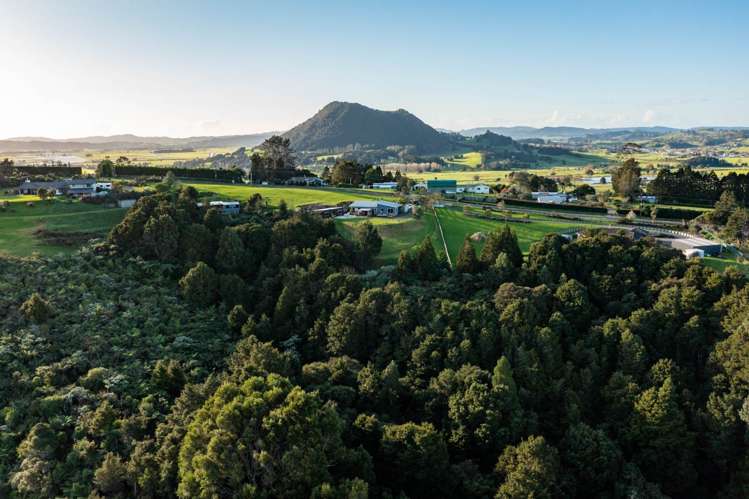 397 Apotu Road Kauri_28