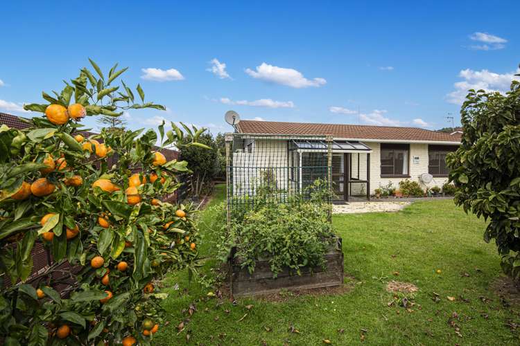 8b Park Avenue Kensington_8