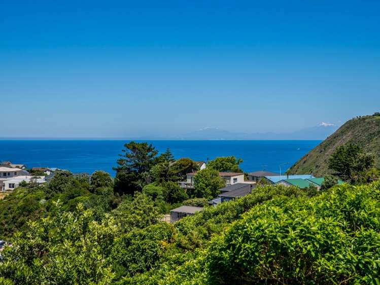 62a Frobisher Street Island Bay_0