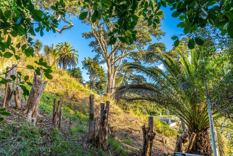 320 Jervois Road Herne Bay_11