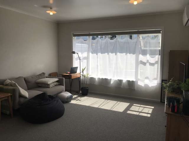 42 Lingfield Street Glenfield_4