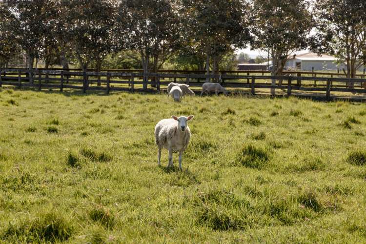 109 Te Rahu Road Poroporo_32