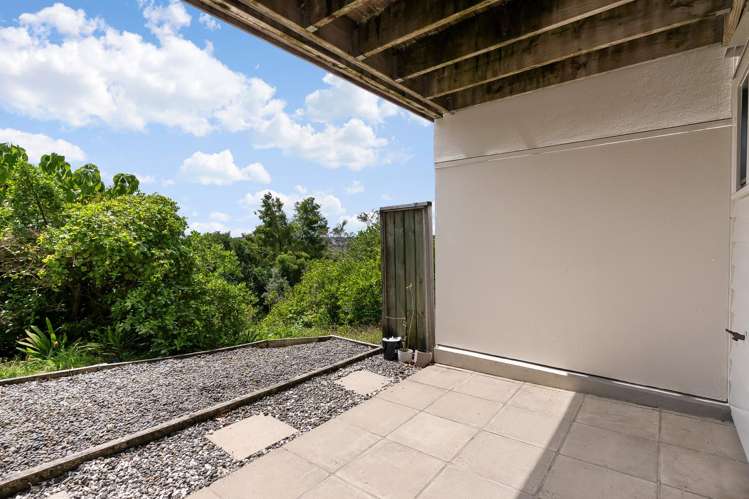 3D Laxon Terrace Remuera_24