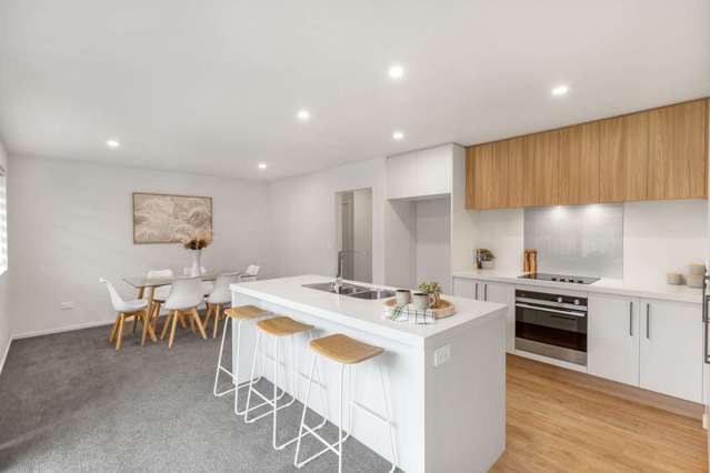 22 Croydon Street Ravenswood_4