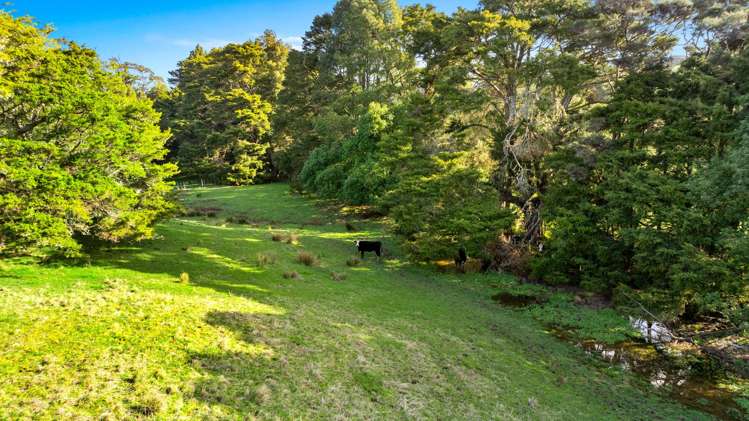 125a Taylor Road Waimauku_5