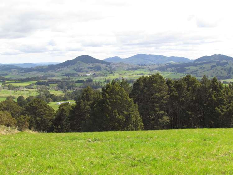 Tremain Road Ruatangata West_24