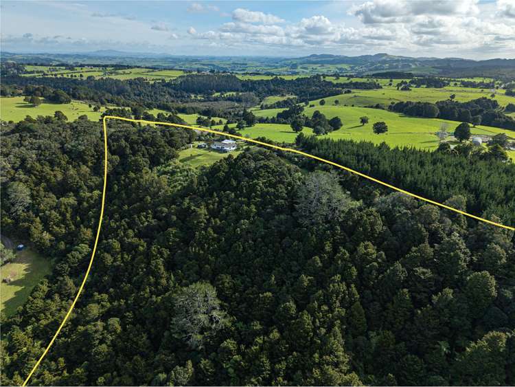 352 Puhipuhi Road Whakapara_38