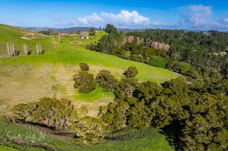 Massey Road Maungaturoto_28