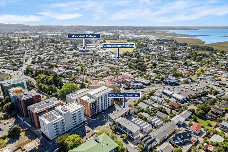 1824 Great North Road Avondale_19