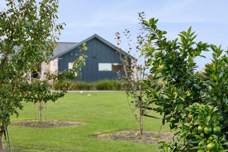 11 Millpark Lane Matangi_17