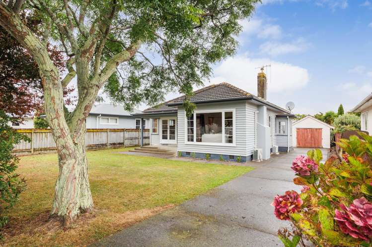 24 Vernon Avenue Takaro_5