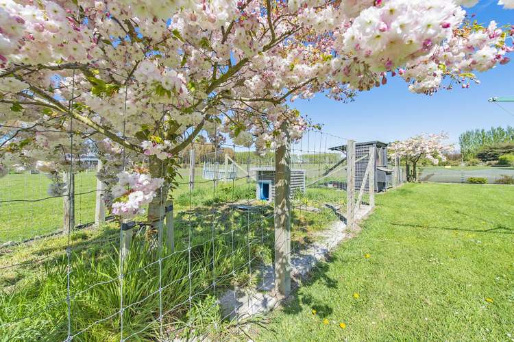 111 Chamberlains Road Springston_22