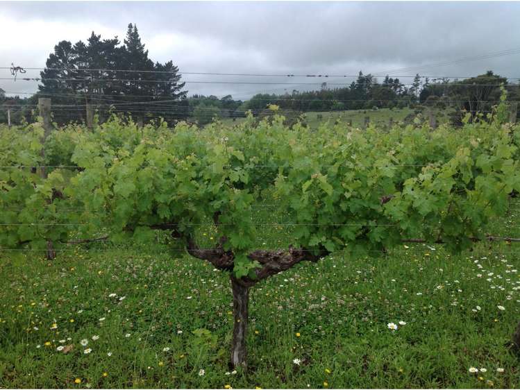 74 Guy Road Kaikohe_8