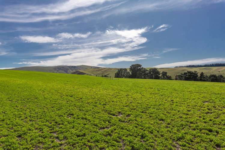 277 Mackenzies Road Waipara_4