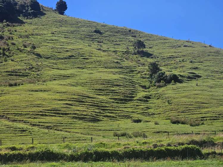 160 Te Rore Road Kaitaia_14