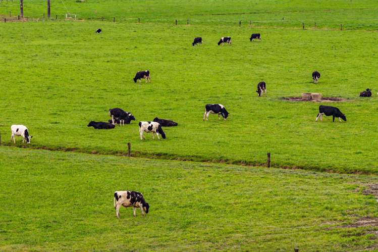 1070 Tangihua Road Maungakaramea_21