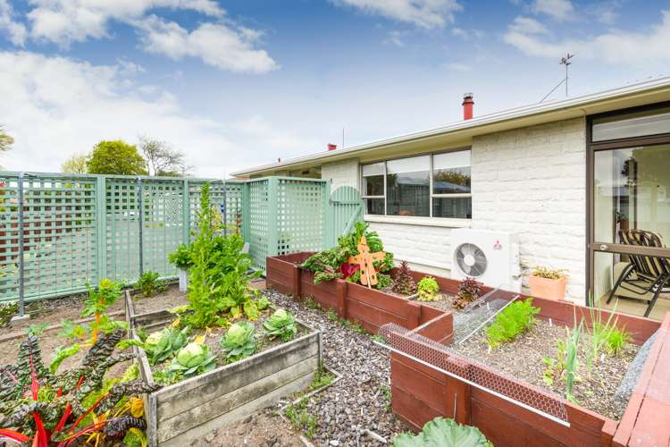 16a King Street Feilding_18