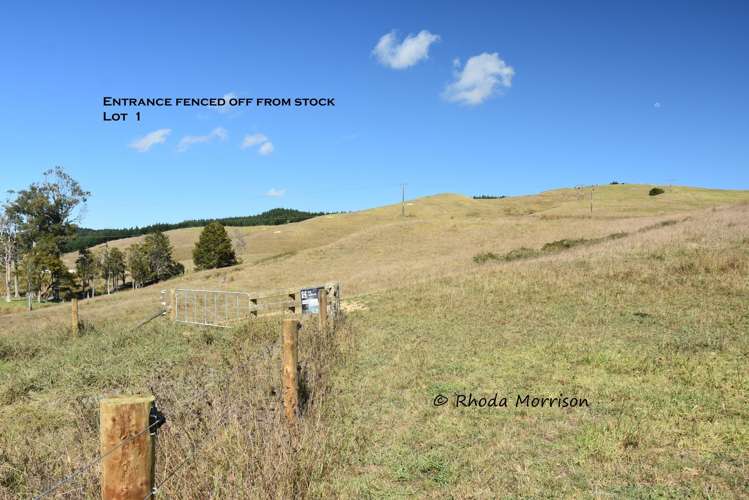 Golden Stairs Rd Maungaturoto_26