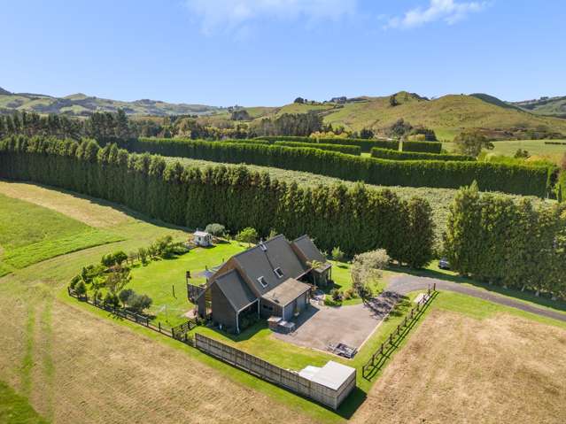 83 Mataura Road Waihi_1