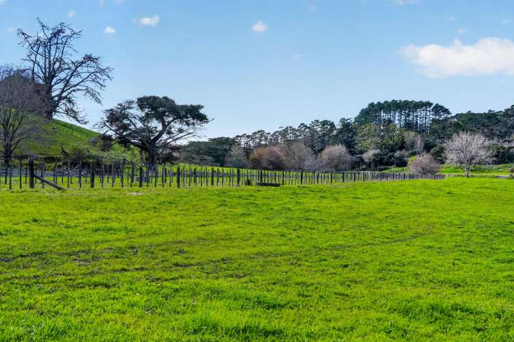 Lot 2 Annett Road Kumeu_4